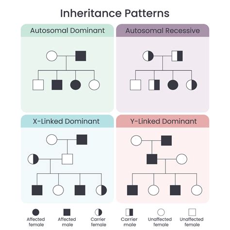 Inheritance .